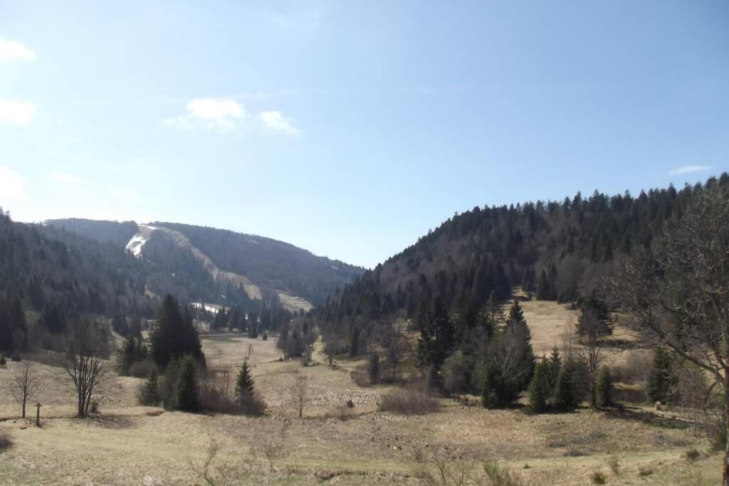 Location Pied Des Pistes * La Bresse