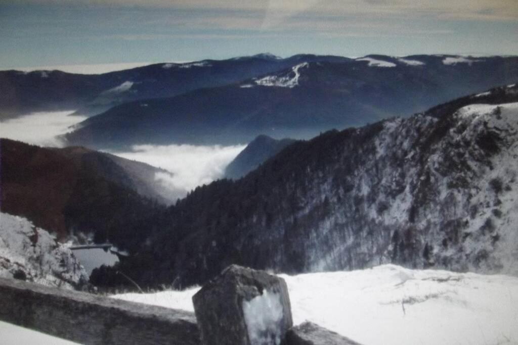 Location Pied Des Pistes *